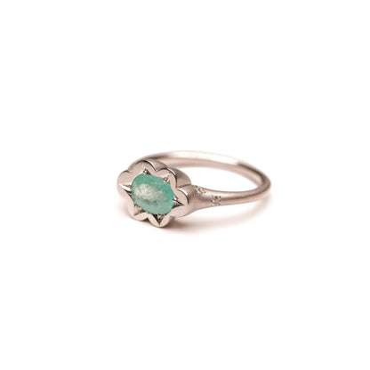 【 Special collection 】Paraiba Tourmaline Ring 4